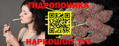 мдма Новодвинск