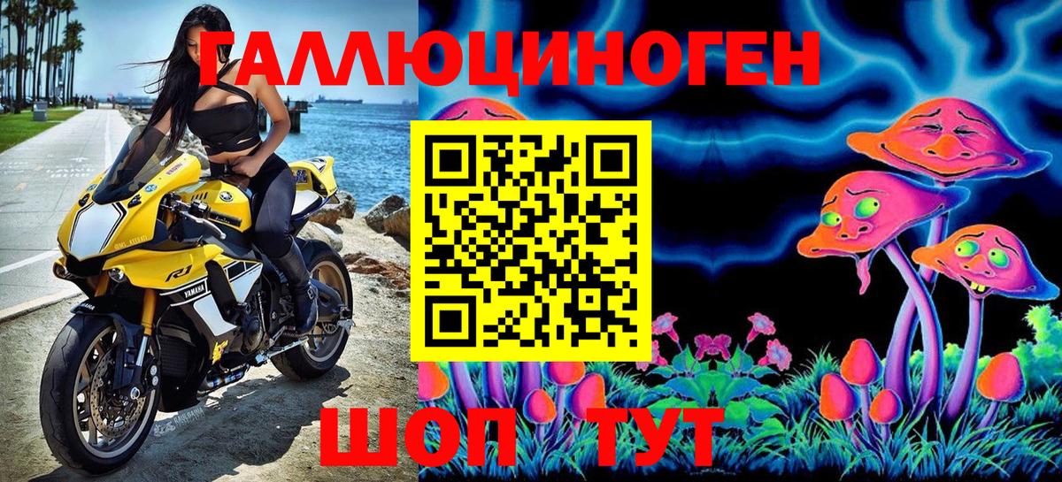 Псилоцибиновые грибы прущие грибы Удомля